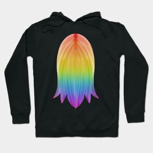 Simple Rainbow Hair Hoodie